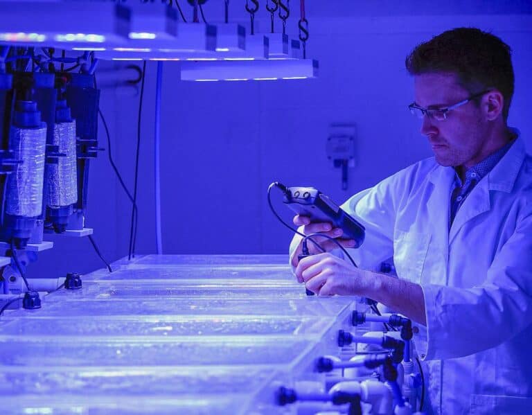 Marine Researcher using a measurement probe in several aquaria